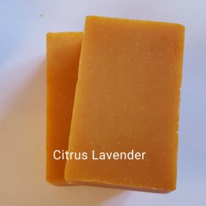 Citrus Lavender Felted Soap w/soap rest